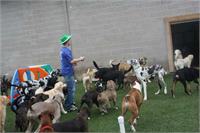 daycare pic 115 - play time